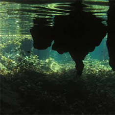 Underwater photographer Sam Handley, overhang