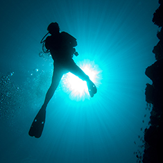 Underwater photographer Andrew Manze, diver silhouette