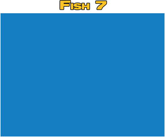 Issue 12 archive - Name that Fish