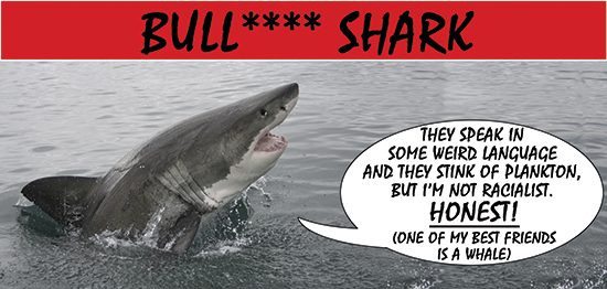 Issue 13 archive - Bull**** Shark
