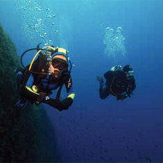 Underwater photographer Pete Bullen, divers