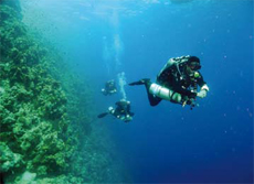 Technical divers on a reef wall, Malta