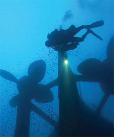 Wreckie Diver