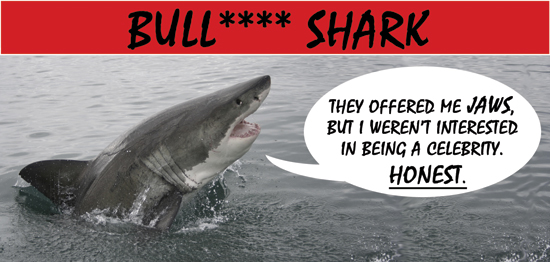 Issue 4 archive - Bull**** Shark