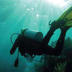 Underwater photographer Darren Baldwin, diver