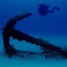 Underwater photographer Nick Stevens, anchor