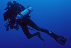 Techie Diver