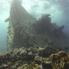 Underwater photographer Dean Pepper, Prize-winning wreck
