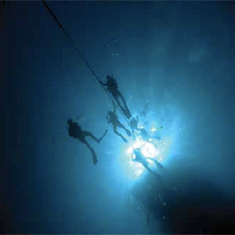 Underwater photographer Vyv Wilkins, divers