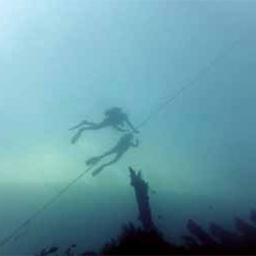 Underwater photographer Vyv Wilkins, wreck