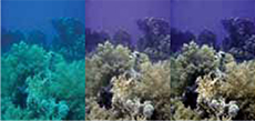 Adobe Underwater Correction