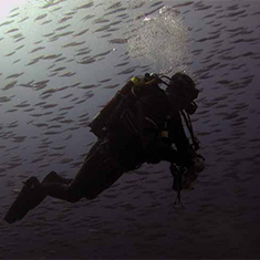 Underwater photographer Jonathan Jarman, diver