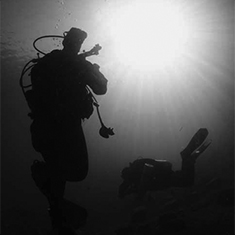 Underwater photographer Tony McCann, divers