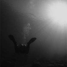 Underwater photographer Tony McCann, sunshine