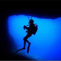 Underwater photographer Simon Dunn, 