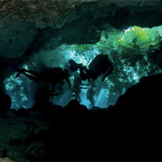 Underwater photographer Vyv Wilkins, 