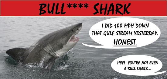 Issue 2 archive - Bull**** Shark