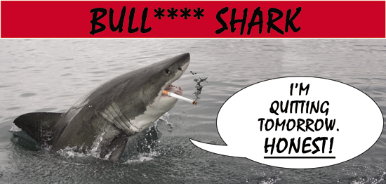 Issue 8 archive - Bull**** Shark