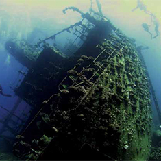 Underwater photographer Spencer Burrows, prize-winning Ghiannis D